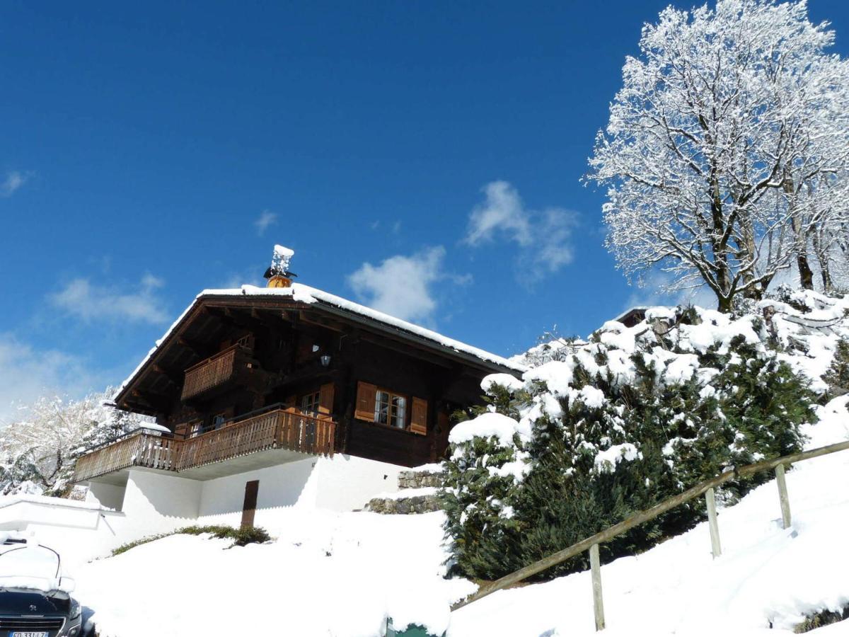 Chalet 8 Pers, Proche Pistes, 3***, Balcon, Cheminee - Fr-1-304-243 Villa La Clusaz Bagian luar foto